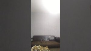 Проверяю 5 мифов из мультиков и сказок в реальной ЖИЗНИ!