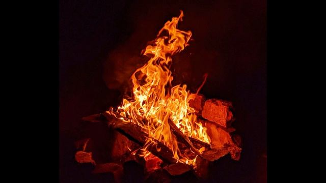 Н. Некрасов. О муза! я у двери гроба!..