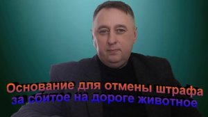Основания для отмены штрафа за сбитое на дороге животное