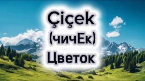 Скажи "Деревья" на турецком языке 🇹🇷💙 поговорим на турецком языке ‼️