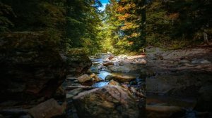 Водный поток, Лес, Птицы. Для сна, релакса и восстановления.