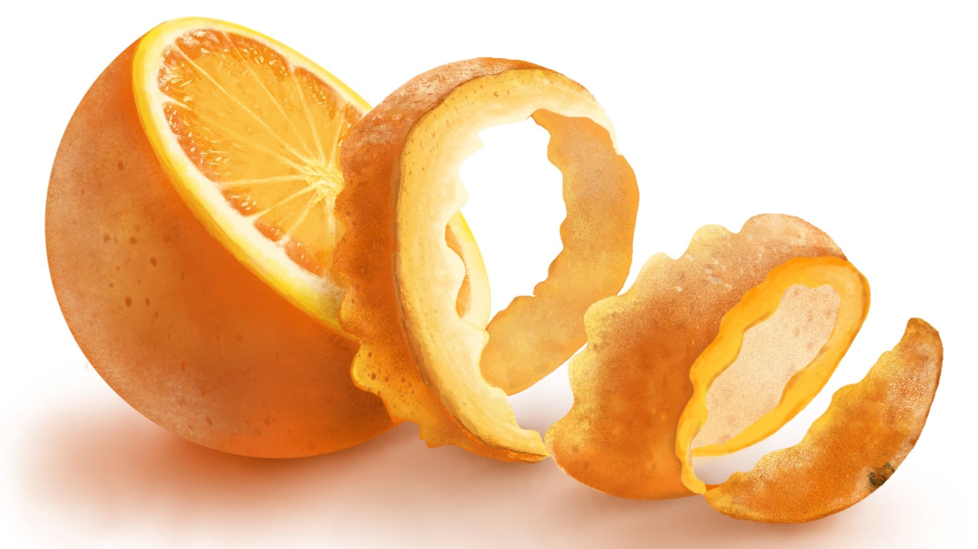 Апельсин в Procreate