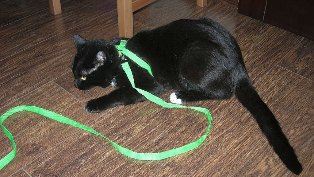 Симптомы больной церкви: Слепое  повторение и поклонение традициям