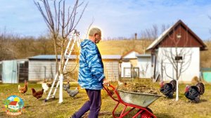 Весна на хуторе! Работы в саду и срочная поездка к тёще