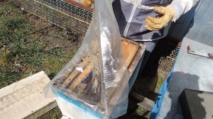 Беглый осмотр проблемных семей 17 марта.