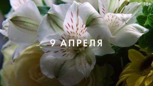 Вот это драма. Русский трейлер (Дубляж, 4К, 2026).