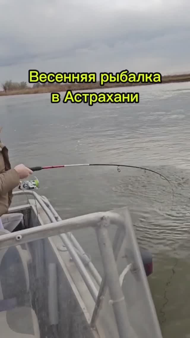 Рыбалка в Астрахани в апреле. Часть 3. Ловим жереха
