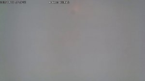 LIVE: channel43489494