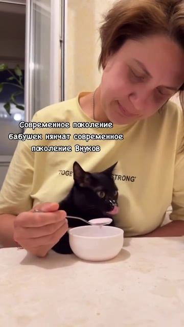 #юмор #прикол #смех #кот