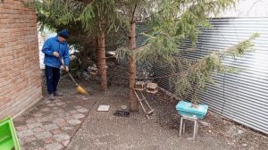 белки и дедушка