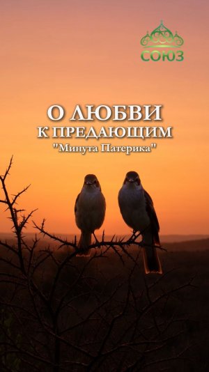 О любви к предающим. «Минута патерика»