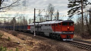 2ТЭ116 - 649 с грузовым поездом следует на перегоне Новый Петергоф - Ораниенбаум 1