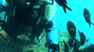 Затонувший торпедный катер в Судакской бухте