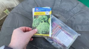 04.04.26 влог: Розы открыла-закрыла. Капусту посеяла. Ящерки