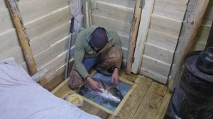 Изготовил самую эффективную рыболовную приманку в мире и поймал рыбу, не выходя из теплого укрытия