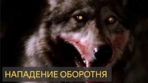 НАПАДЕНИЕ ОБОРОТНЯ