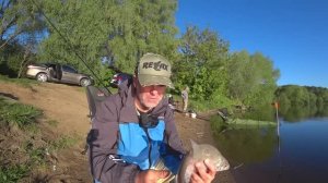 Ловля леща весной Рыбалка на фидер Лещ обожает эту насадку