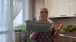 Рассада2026🌱🌱🌱,последний обзор из квартиры 👍👍👍