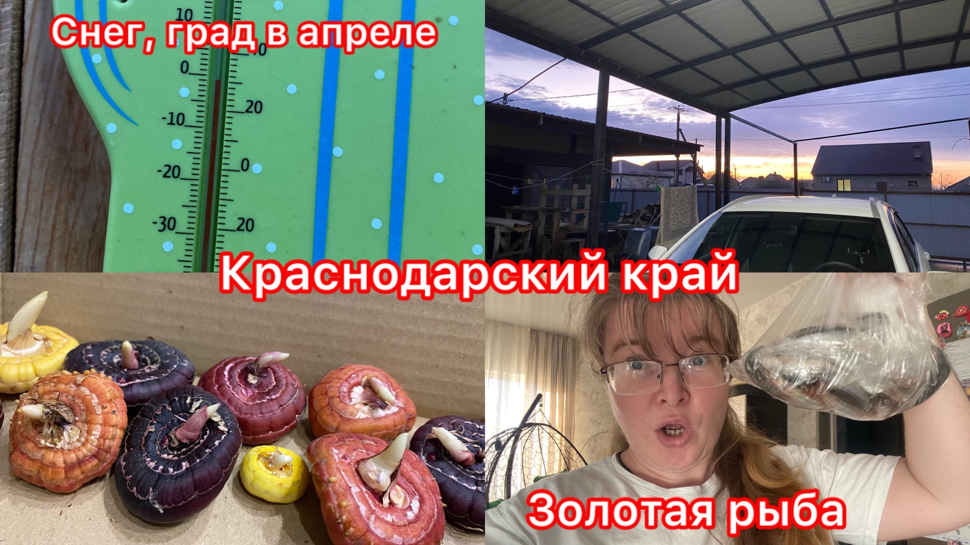 Купили дом. +20 днём. Золотая рыба. Что с ценой. Снег и град в апреле. Минус 1.