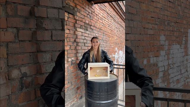 «Мисс Университет» в СПбГУПТД: проверка на прочность или на ощупь?