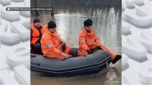 Вода заходит в дома: в Алтайском крае подтоплены десятки участков