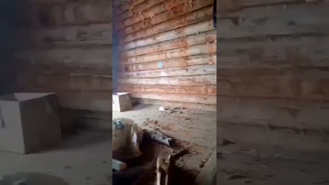 Пелым - заброшенная деревня ( Свердловская область, Гаринский район). Часть 1; деревня Пелым