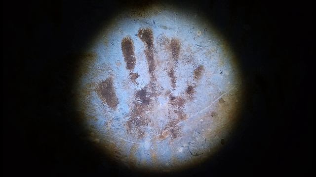 М. Лермонтов. Нищий.