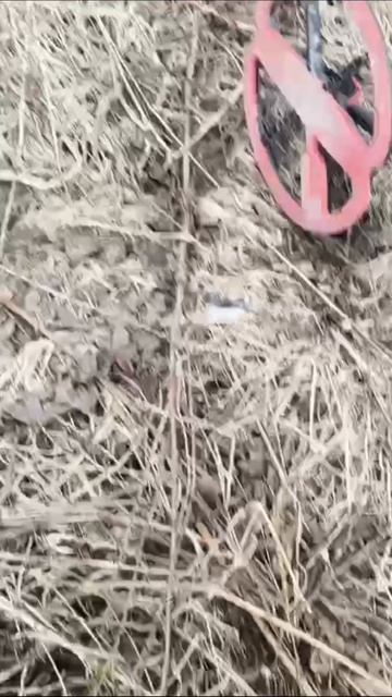 металлокоп