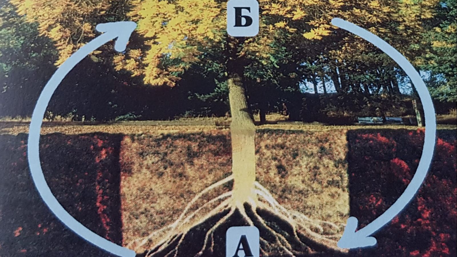 4 фактор роста церкви. Многоразовое использование. Устойчивости.