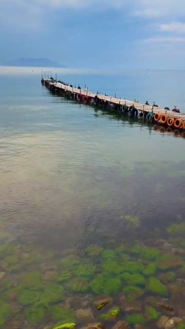 Правильные слова