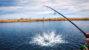 Рыбалка пошла не по плану... но ЭТО БЫЛО КРУТО!