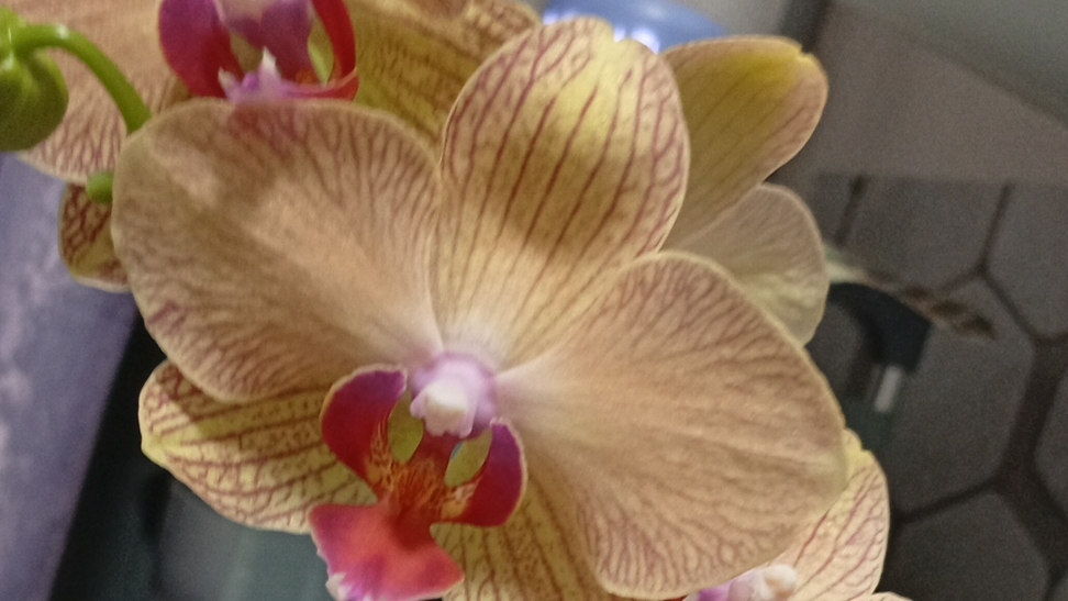 весь день в бегах,по больницам и не только/ распаковка Лента.