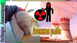 Рыба-мутант в пруду АЭС ? / Тиляпия там, где её не должно быть - Нововоронеж рыбалка.