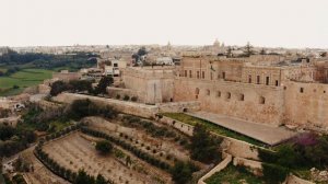 Vigora - Королева