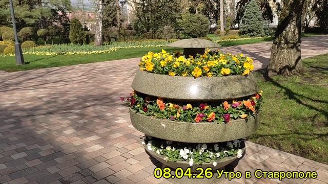 08.04.26 утро в Ставрополе