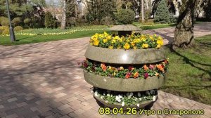 08.04.26 утро в Ставрополе