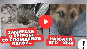 Он просто лежал и ждал конца... Хью...