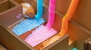 Настя придумывает игры с друзьями