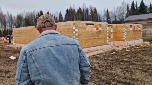 Когда начинать финишную покраску сруба.