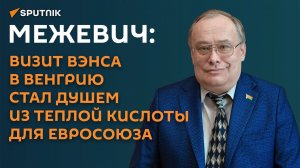 Межевич: визит Вэнса в Венгрию стал душем из теплой кислоты для Евросоюза