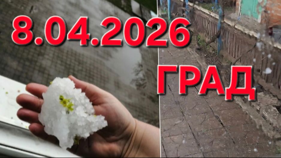 1162 Град на Кубани. 8.04.2026. Вот такая она Жизнь на Юге.
