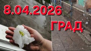 1162 Град на Кубани. 8.04.2026. Вот такая она Жизнь на Юге.