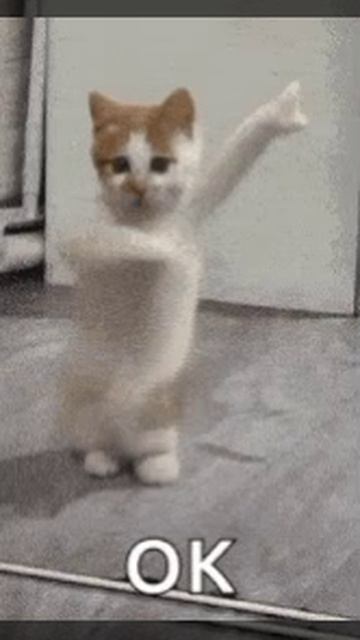 1000130800.mp4