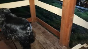 СОЧИ ГОРНОЕ ЛОО УТРО 08.04.2026