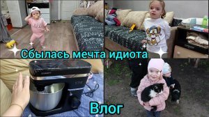 Влог. Сбылась мечта идиота. Вкусно готовим. Покупки.