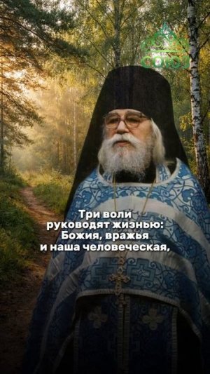 Духовная жизнь - это выбор каждый день.