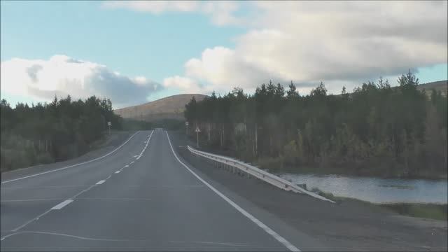 Север 2022, август. Фильм 3. Лес. Прогулка. Из архива.