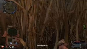 играем в сталкер зов припяти