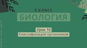 Классификация организмов