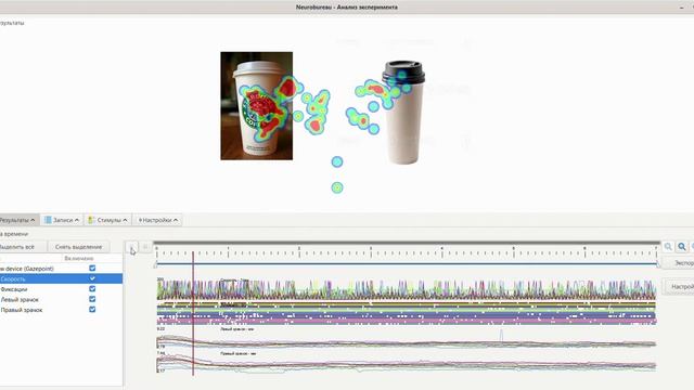 Визуальное притяжение личности бренда: нейромаркетинговый эксперимент с айтрекингом, апрель 2026